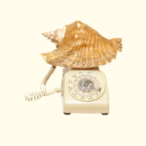 conch phone